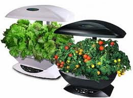 Aerogarden – A Revolutionary Product For Indoor Herb Garden