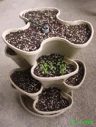 Container Herb Gardening