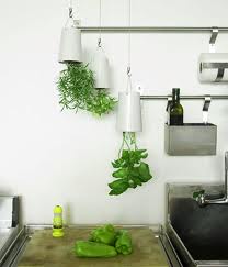 Creative Upside Down Indoor Herb Garden