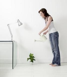 How Many Hours of Artificial Light Do Herbs Need?