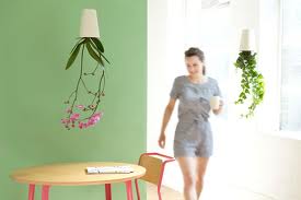 Boskke Sky Planter For Indoor Herb Garden