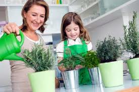 How To Plant A Gourmet Indoor Herb Garden