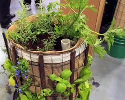 Planting A Phytopod herb Garden