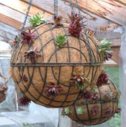 Spherical Hanging Basket