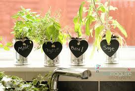 Indoor Herb Garden with Artificial Lights