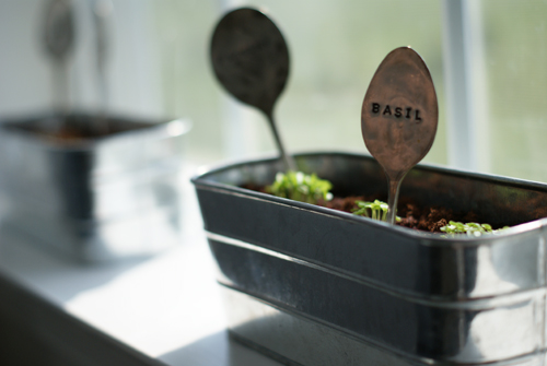 Artificial Lights vs Natural Light